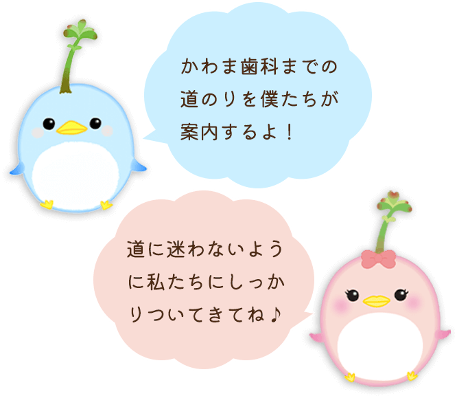 かわま歯科までの道のりを僕たちが案内するよ！道に迷わないように私たちにしっかりついてきてね♪