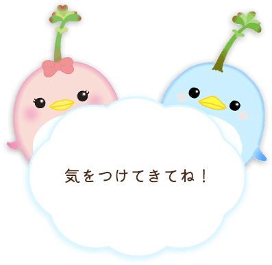 気をつけてきてね！