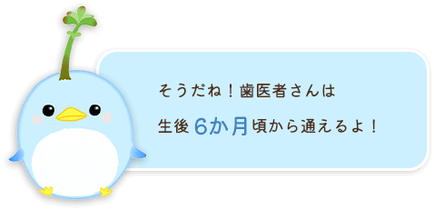 そうだね！歯医者さんは生後6か月頃から通えるよ！