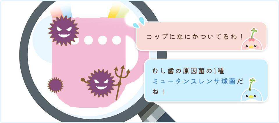 ミュータンスレンサ球菌