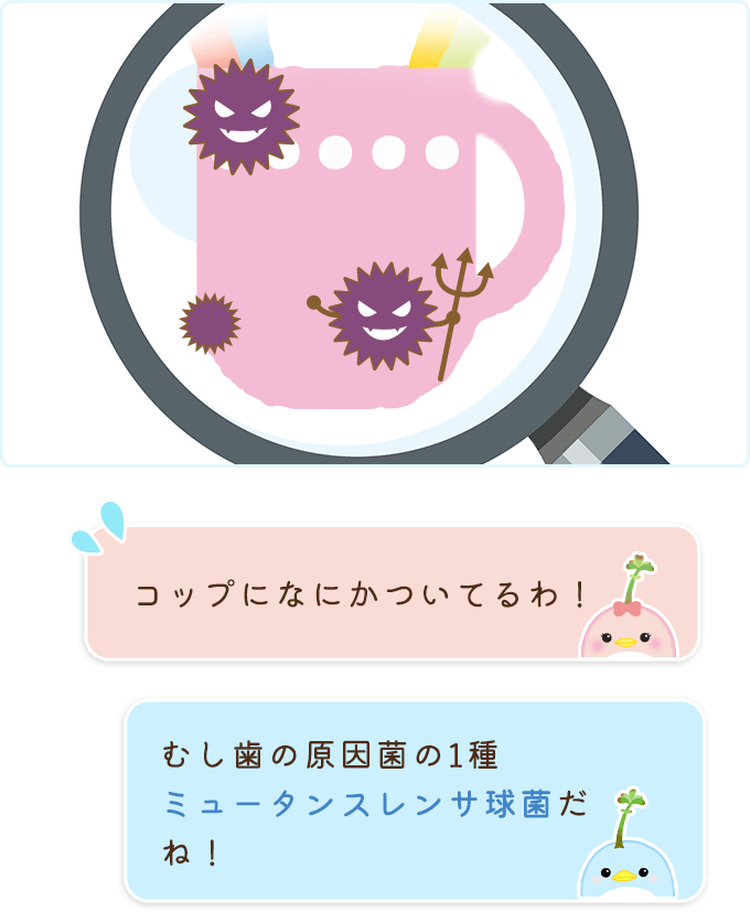 ミュータンスレンサ球菌