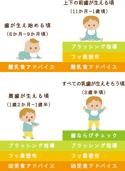 お子さんの成長段階に合わせた充実のケア内容